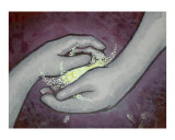 Touch