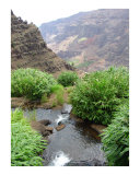 Waipoo Falls and Waimea Canyon Kauai Hawaii