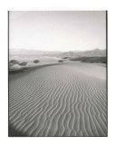 Dunes  Death Valley