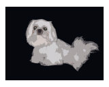 Quincy Cut Out