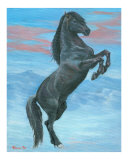 Majestic Black Stallion