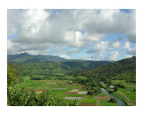 Hanalei Valley with Taro Patches Kauai Hawaii