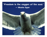 Freedom Photo-Poster 201Wa