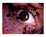 Natures Eye