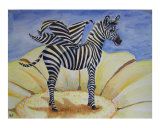 zebra