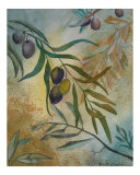 Branches of Peace I