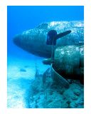 Plane Wreck