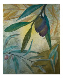 Branches of Peace II