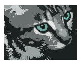 Cats Eyes
