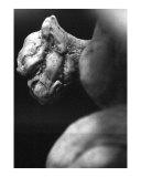 Gargoyle 13