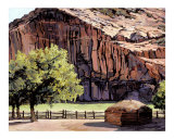 Navajo Canyon