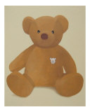 Teddy bear