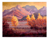 Aspen in the Rockies
