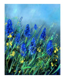 Muscari