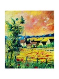 Poppies in Gendron
