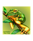 Aussie Tree Frog