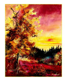 An oak in Autumn