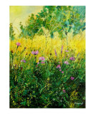 wild flowers