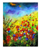 Poppies