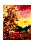 An oak in Autumn