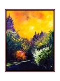 Firtrees and sun
