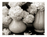 white flowers from the yard