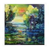 magic pond
