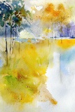 Pond