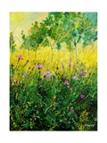 wild flowers
