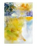 Pond