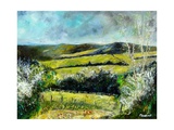 spring in Bois Jacques
