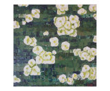 Gardenia
