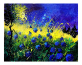 Blue cornflowers