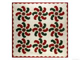 An Appliqued Cotton Quilted Coverlet  American  Mid 19th Century
