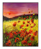 Poppies