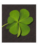 Whats Luck