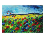 POPPIES