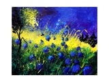 Blue cornflowers