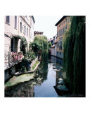 Pink Arbor in Sacile