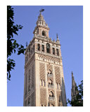 Seville Cathedral Tower