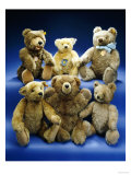 A Collection of Steiff Teddy Bears