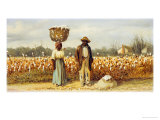 The Cotton Pickers