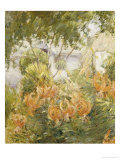 Tiger Lilies