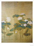 Lotus Pond  1726