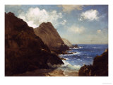 Farallon Islands