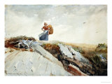 Down the Cliff  1883
