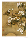 Pear Blossom and Moon