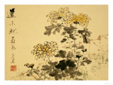 Chrysanthemums  A Leaf from an Album of Various Subjects