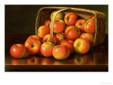 Apples  circa 1892