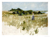 Shinnecock Hills (A View of Shinnecock)  1891